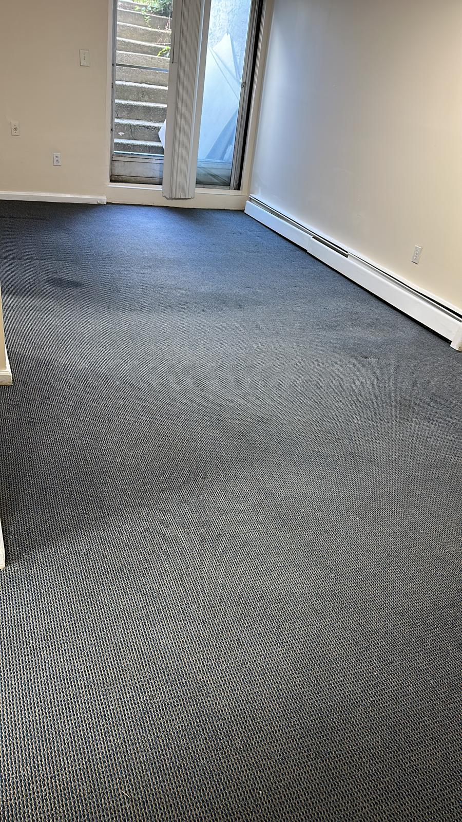 Gallery PristineGreen Upholstery and Carpet Cleaning